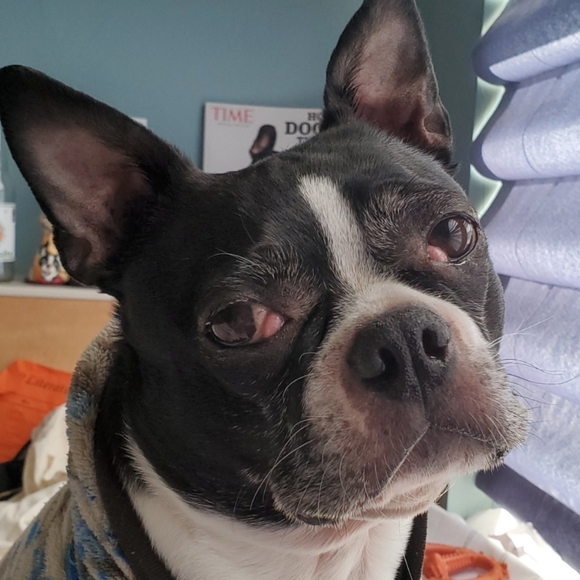 Meet your Posher, Emily - Picture 3 of 3